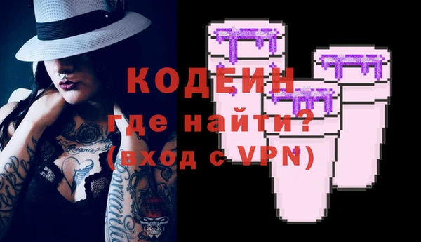 прущие грибы Абаза