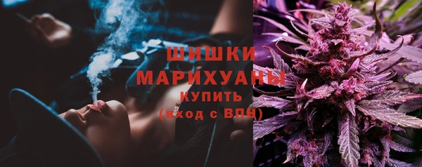 дживик Пенза
