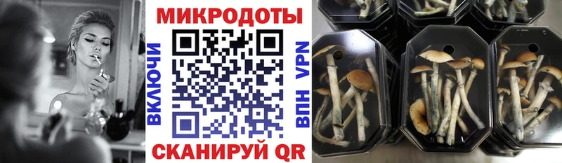 как найти закладки Брюховецкая Галлюциногенные грибы ЛСД